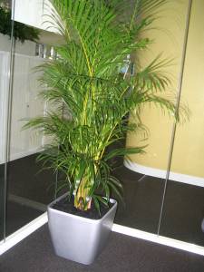   &raquo; Click to zoom ->