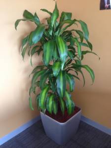   &raquo; Click to zoom ->