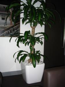   &raquo; Click to zoom ->