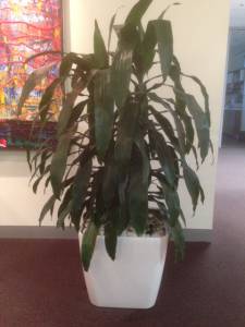   &raquo; Click to zoom ->