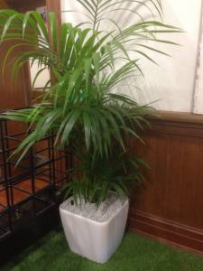   &raquo; Click to zoom ->